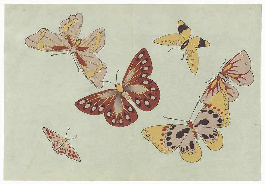 Butterflies Image